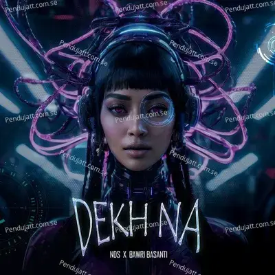 Dekh Na - Nds album cover 