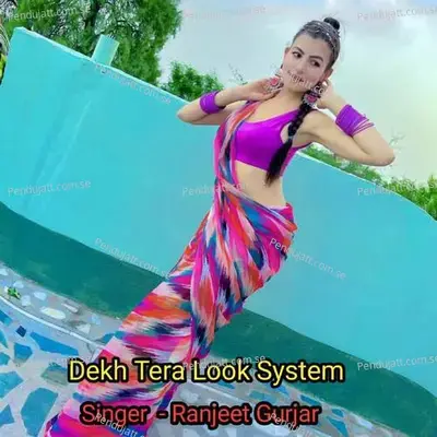 Dekh Tera Look System - Ranjeet Gurjar album cover 