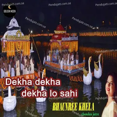 Dekha Dekha Dekha Lo Sahi - Shreejata Upadhyay album cover 