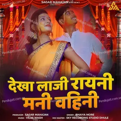 Dekha Laji Rayni Mani Vahini - Bhaiya More album cover 