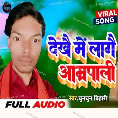 Dekhai Me Lagai Aamarpali - Chunchun Bihari album cover 