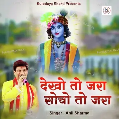 Dekho To Jara Socho To Jara - Anil Sharma album cover 