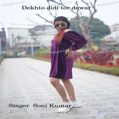 Dekhto Didi Tor Dewar - Soni Kumari album cover 