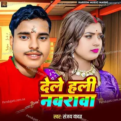 Dele Hali Navrava - Sanjay Yadav album cover 