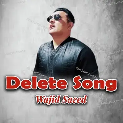 Delete Song - Wajid Saeed album cover 