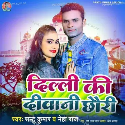 Delhi Ki Deewani Chhori - Santu Kumar album cover 