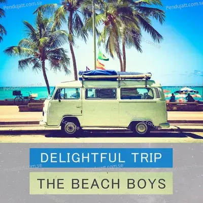 Delightful Trip - The Beach Boys