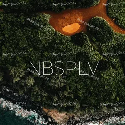 Delve - NBSPLV album cover 