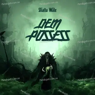 Dem Possess - Shatta Wale album cover 