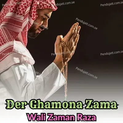 Der Ghamona Zama - Wali Zaman Raza album cover 