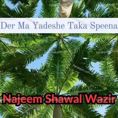 Der Ma Yadeshe Taka Speena - Najeem Shawal Wazir album cover 