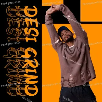 Desi Grind - Various Artists cover album