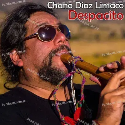 Despacito - Chano Diaz Limaco album cover 