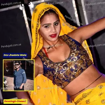 Dev Jhadota Wala - Devsingh Chawdi album cover 