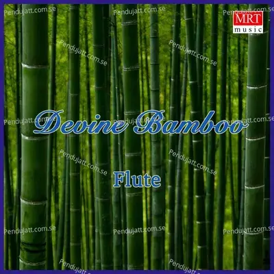 Devine Bamboo - Dr. N. Ramani cover album