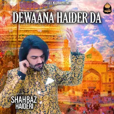 Dewaana Haider Da - Shahbaz Haideri album cover 