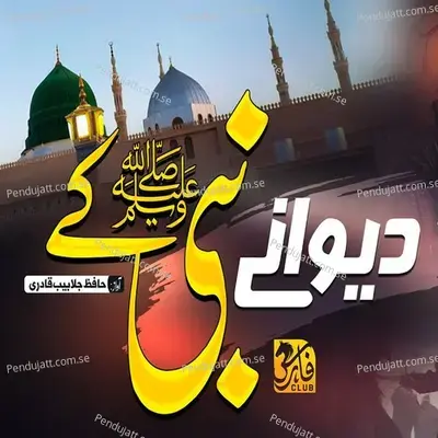 Dewane Nabi Ke - Hafiz Jalabeeb Qadri album cover 