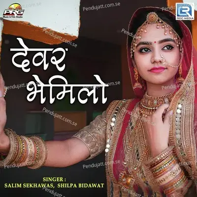 Dewar Bhemilo - Salim Shekhawas album cover 