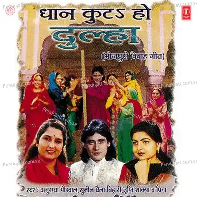 Dhaan Kuta Ho Dulha - Sunil Chhaila Bihari cover album