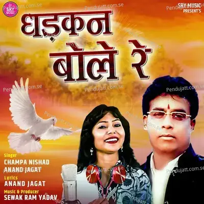 Dhadkan Bole Re - Anand Jagat album cover 