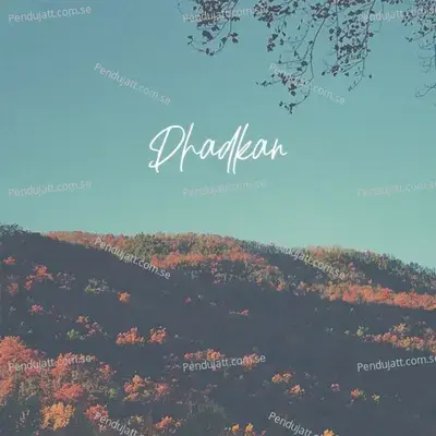 Dhadkan - Rupam album cover 