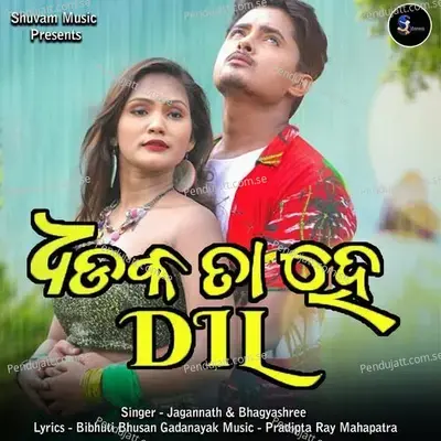 Dhadkta Hai Dil - Jagannath album cover 