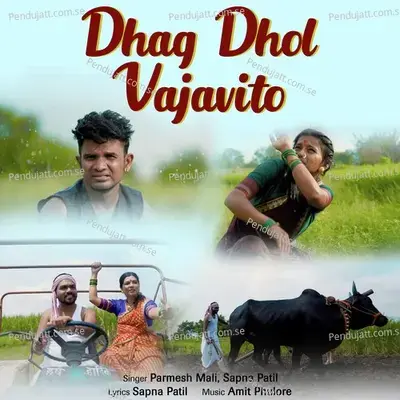 Dhag Dhol Vajavito - Sapna Patil album cover 