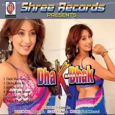 Dank Maar Gaya Re - Anuja album cover 