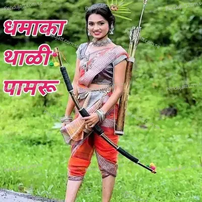 Dhamaka Thali Pamru - Roshani Toke album cover 