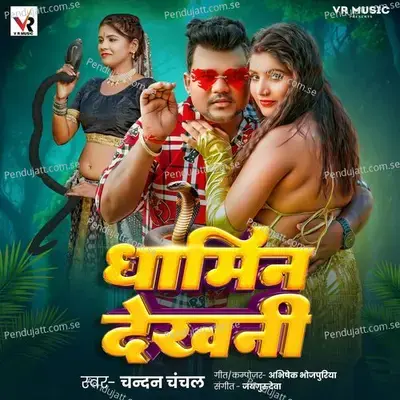 Dhamin Dekhni - Chandan Chanchal album cover 