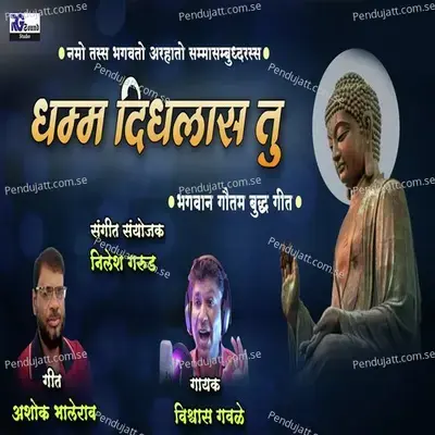 Dhamm Didhalas Tu - Vishwas Gawale album cover 