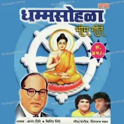 Dhammsohala - Anand Shinde album cover 