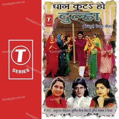 Dhan Kute Ho Dulha - Sunil Chhaila Bihari cover album