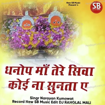 Dhanop Ma Tere Siva Koi Na Sunta Ye - Narayan Kumawat album cover 