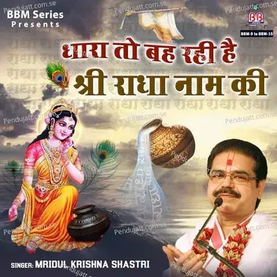 Jai Madhav Madan Murari - Mridul Krishan Shastri album cover 