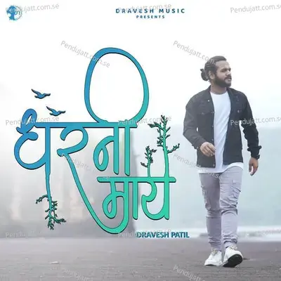 Dharni Maay - Dravesh Patil album cover 