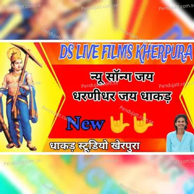 Dharnidhar Jay Dhakad - Vishnu Prajapat album cover 