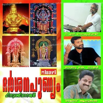 Pampanadhi - Venu K. Nair album cover 