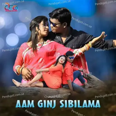 Dharti Re Jiwi Tahenbur Amginj Sibilama - Chatura Tudu album cover 