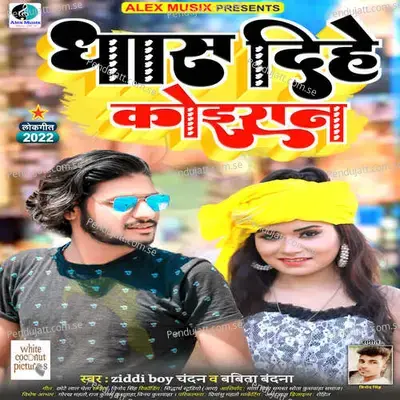 Dhas Dihe Koiran - Ziddi Boy Chandan album cover 