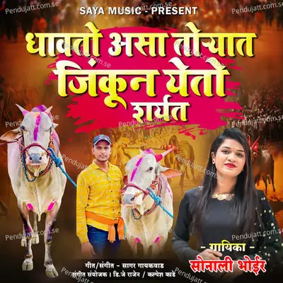 Dhavto Asa Toryat Jikun Yeto Sharyat - Sonali Bhoir album cover 