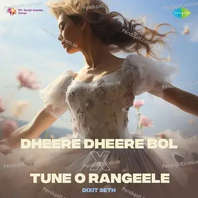 Dheere Dheere Bol X Tune O Rangeele - Dixit Seth album cover 