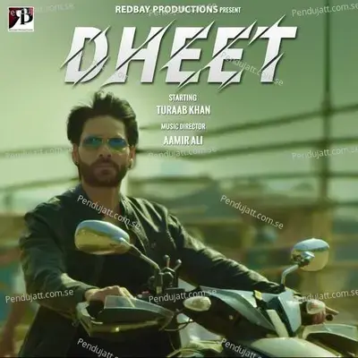 Dheet - Turaab Khan album cover 