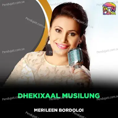 Dhekixaal Musilung - Merileen Bordoloi album cover 