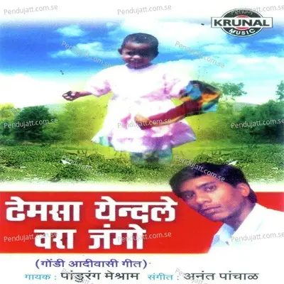 Veha Renuka - Pandurang Meshram album cover 