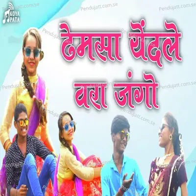 Dhemsa Yendle Vara Jango - Pandurang Meshram album cover 