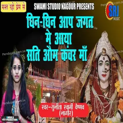 Dhin Dhin Aap Jagat Me Aaya - Sunita Swami album cover 