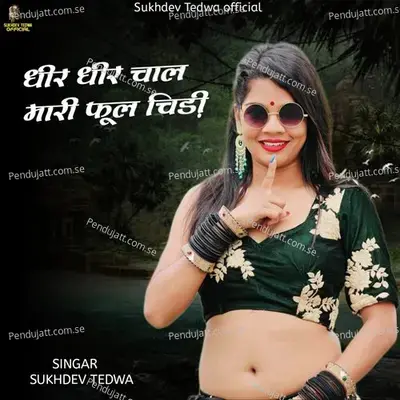 Dhire Dhire Chaal Mari Full Chidi - Sukhdev Tedwa album cover 