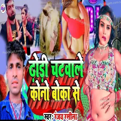 Dhodhi Chatwale Kona Boka Se - Ranjay Rasila album cover 