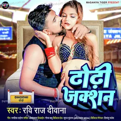 Dhodhi Junction - Ravi Raj Deewana album cover 